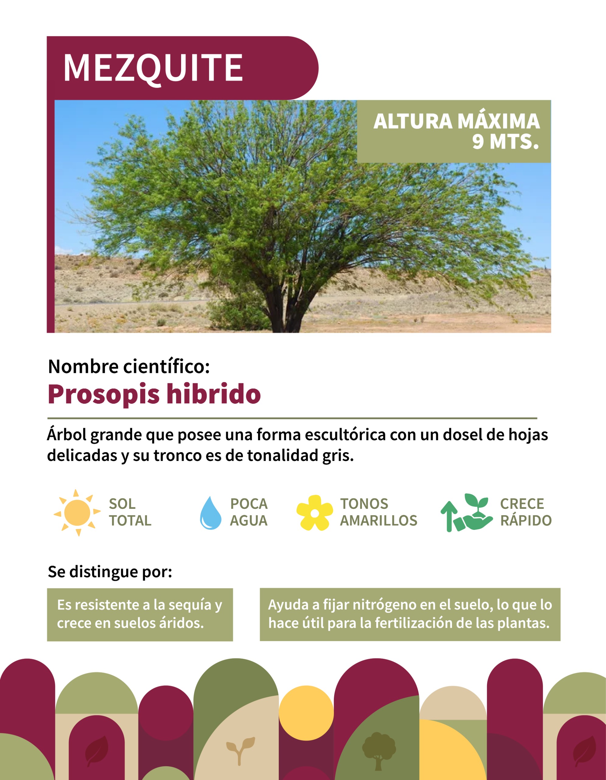 Infografía 3